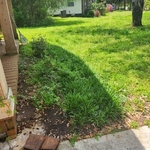 Lawn and Yard Work Project
