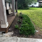 Lawn and Yard Work Project