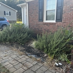 Mulch & Topsoil Project