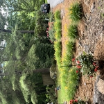 Mulch & Topsoil Project
