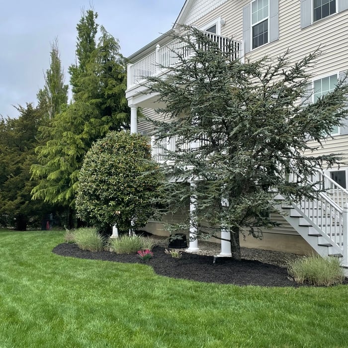 Landscaping Project