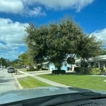 Tree trimming service