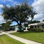 Tree trimming service