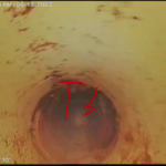 Upper root intrusion