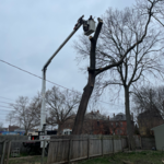 Additional Photos