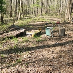 Before