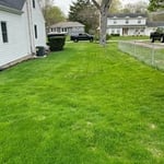 lawn cut.