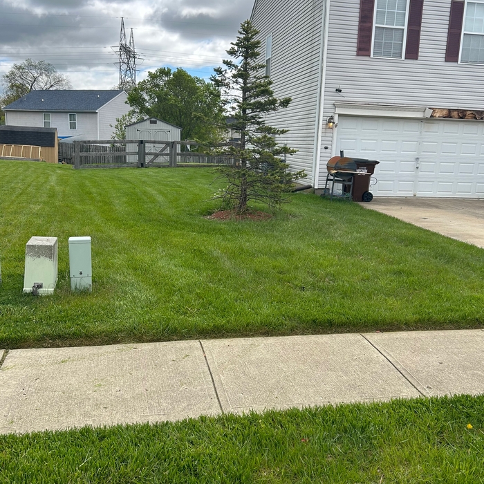 This grass was liner high but we got it done.