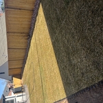 Landscaping Project