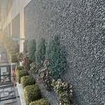 Landscaping Project