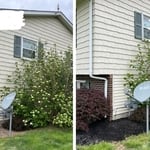 Landscaping Project