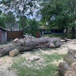 Tree Service Project