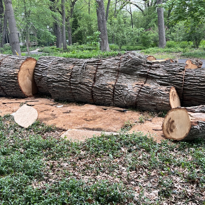 Tree Service Project