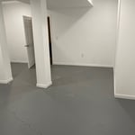 Basement Renovation/Remodel