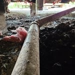 Mobile home Sewage pipes