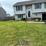 Front/After