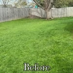Back/Before