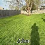 Back/After