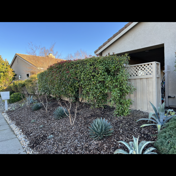 Additional Photos