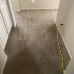 Carpet Cleaning Project