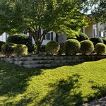Landscaping Project