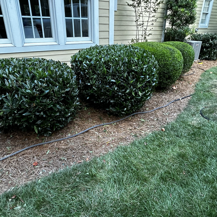 Additional Photos
