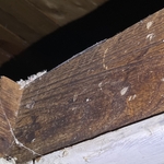 Mold Testing & Remediation Project