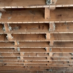 Mold Testing & Remediation Project