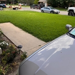 Quick lawn cut on some very good Saint Augustine.