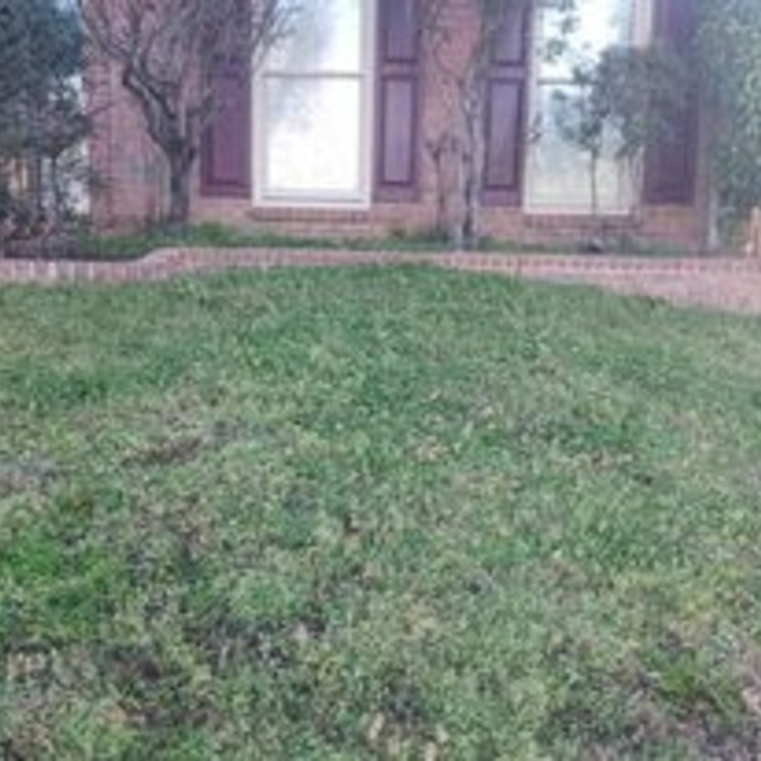 On the Hill Exterior Cleaning