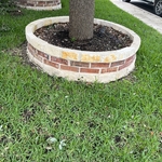Tree Service Project