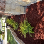 Tree Service Project