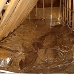 Aeroshield NASA Grade Insulation