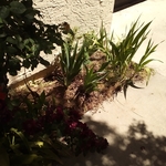 Before