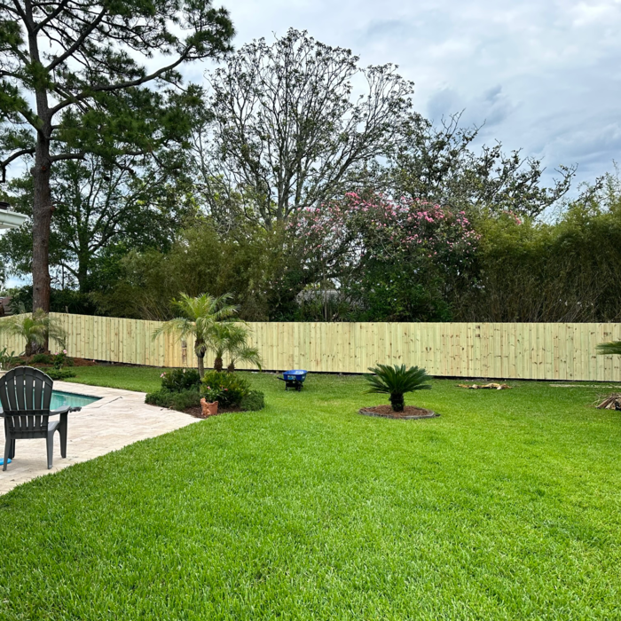 Board on board build along the backside property line.