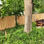 Carbondale custom gate and fence