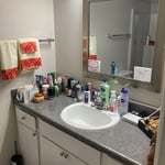 Housecleaning Project