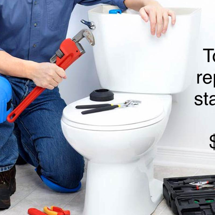 Toilet repairs and stoppages, starting at $99. A clean toilet is a happy toilet.