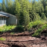 Clearing yard