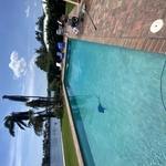 Soft~Wash~Roof & Pool Service