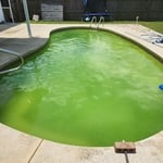 Pool and Spa Service Project