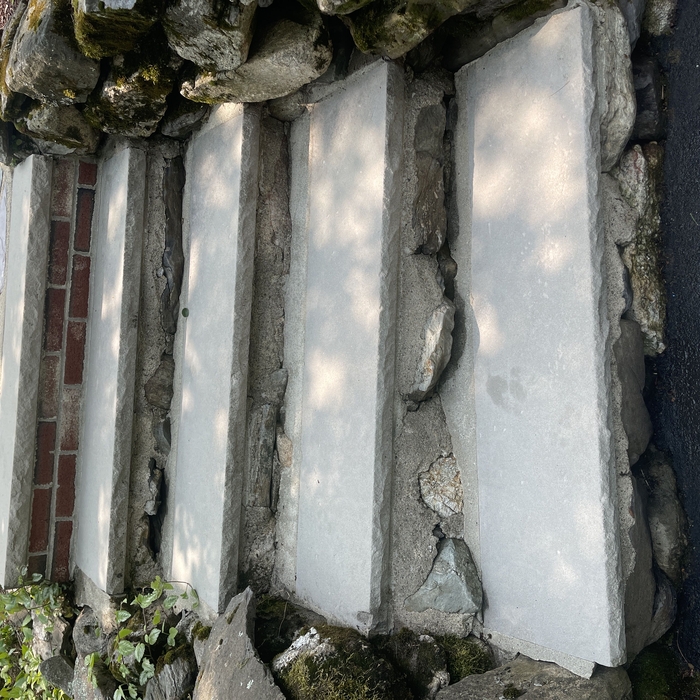 Pressure Washing Project