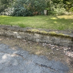 Pressure Washing Project