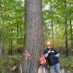Concrete and Tree Work