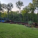 Concrete and Tree Work