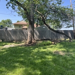 Tree Service Project