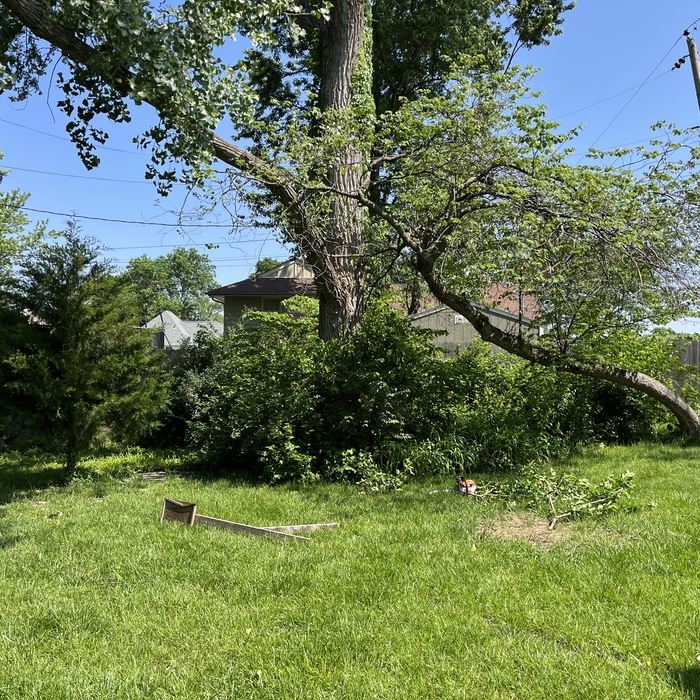 Tree Service Project