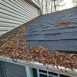 Roof clean up
