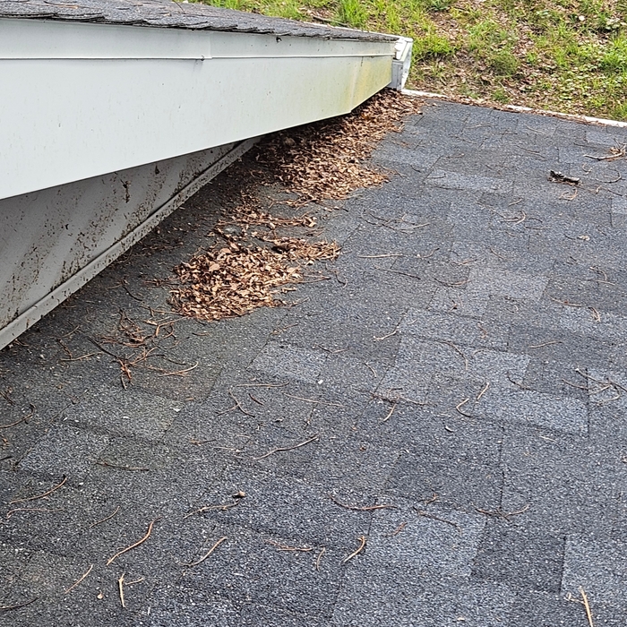 Roof clean up