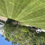 Lawn maintenance
